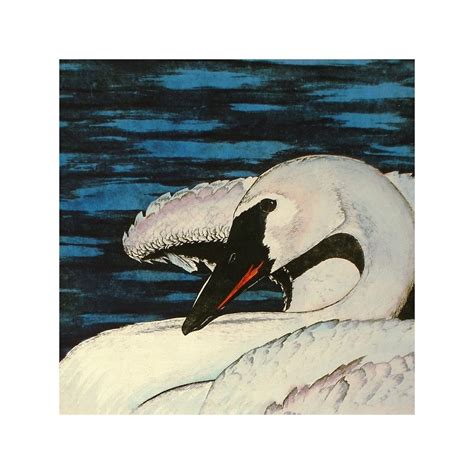 White Swan - Fine Art Limited