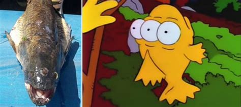 Real Life Imitates The Simpsons: Three-Eyed Fish Caught Near Nuclear Plant - Neatorama