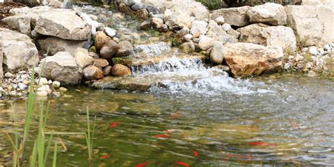 5 Reasons Why Rock Waterfalls Are a Must-Have for Your Backyard Pond ...