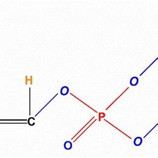 Chemical structure of dichlorvos... | Download Scientific Diagram