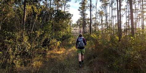 Best Hiking in Florida - Uncommon Path – An REI Co-op Publication