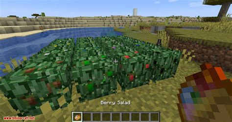 Berry Bushes Mod 1.15.2, 1.14.4 (Randomly Spawn Berry Bushes with ...