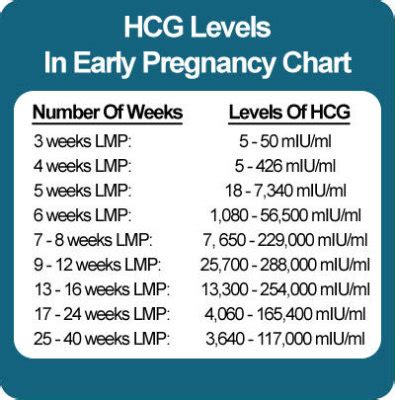 Pregnancy Hormone Levels At 5 Weeks / The Link Between Hcg Levels And ...