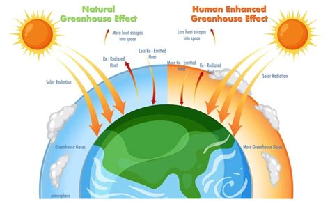 Premium Vector | Diagram showing the greenhouse effect