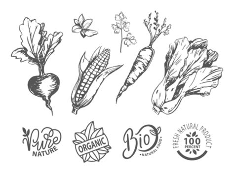 Organic Product Labels Vector Art PNG, Organic Natural Vegetable Product Label, Sign, Symbol ...