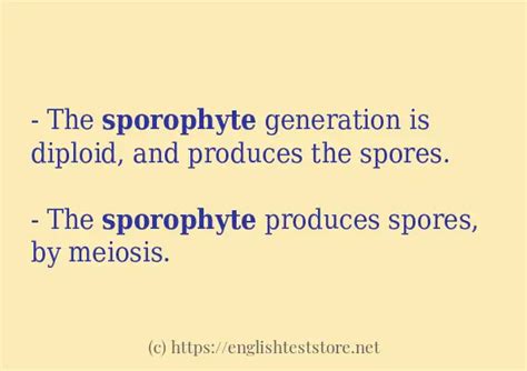 "sporophyte" - sentence examples - EnglishTestStore Blog