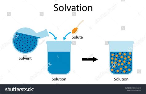 stock-vector-illustration-of-chemistry-the-interaction-of-solvent-with ...