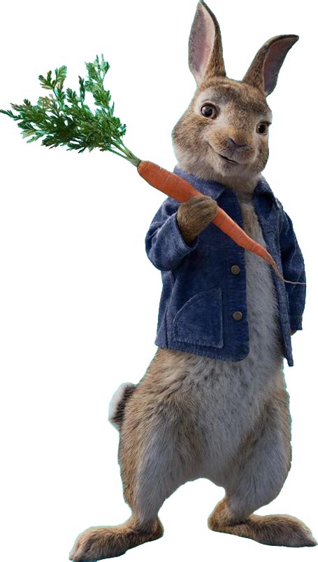 Download Peter Rabbit - Peter Rabbit Movie Png - Full Size PNG Image ...