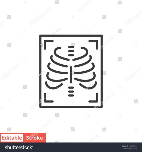 Xray Line Icon Simple Outline Style: vetor stock (livre de direitos ...