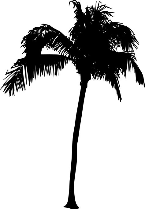 palm tree silhouette png 10 free Cliparts | Download images on ...