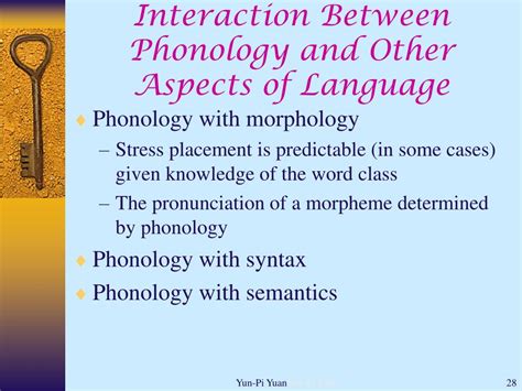 PPT - Phonology PowerPoint Presentation, free download - ID:6911175