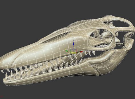 Mosasaurus skeleton model - TurboSquid 1228674