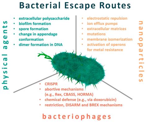 Pledge Antibacterial Clearance Prices, Save 51% | jlcatj.gob.mx