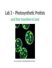 Lab 3 - Photosynthetic Protists 1 .pptx - Lab 3 - Photosynthetic Protists and their transition ...