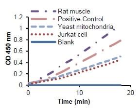 Malate Dehydrogenase Activity Assay Kit (Colorimetric) (ab183305) | Abcam