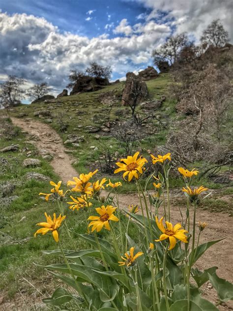 Best Hikes in Boise » Boise Trails