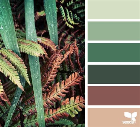 Color Nature | Nature color palette, Brown color palette, Green colour palette