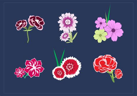 Carnation Bouquet Vectors - Download Free Vector Art, Stock Graphics & Images