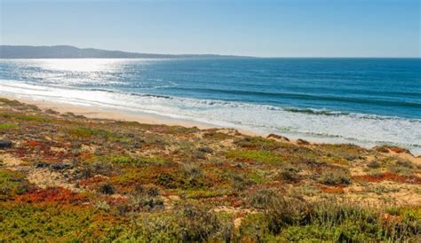 Beaches in Sand City, CA - California Beaches