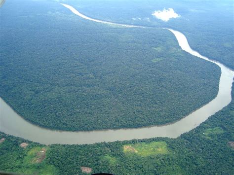 An aerial view of the Amazon Rainforest, taken from a plane. | Amazon ...