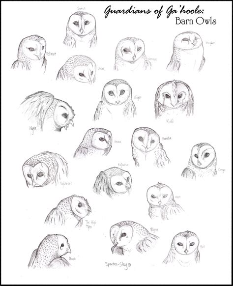 Barn Owls of Ga'hoole [full] by Spectra-Sky on DeviantArt