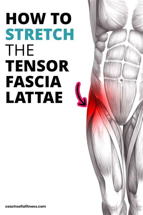 How to Stretch Tensor Fasciae Latae (TFL) One Quick Stretch - Coach Sofia Fitness