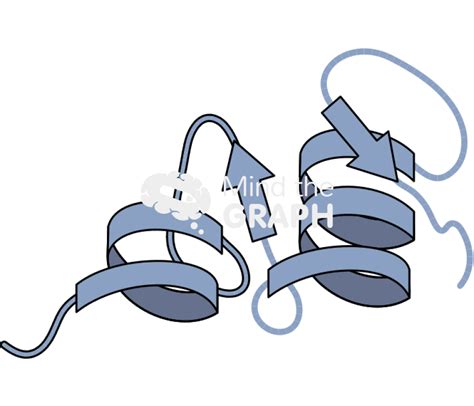 Protein folding 2