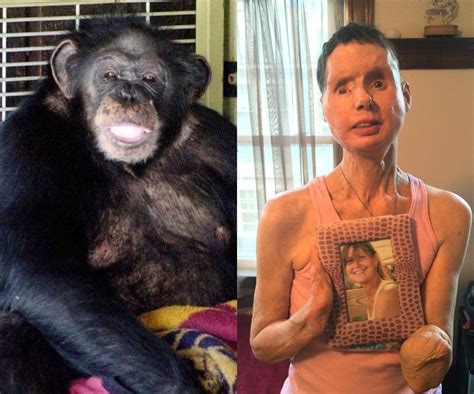 Travis fue un chimpancé de 14 años... - Imágenes Históricas | Facebook