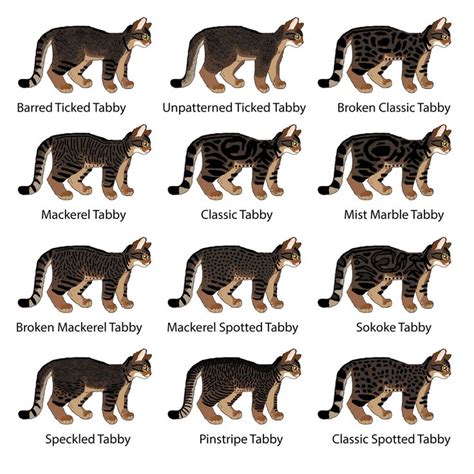 Non-Hybridized Tabby Patterns Chart