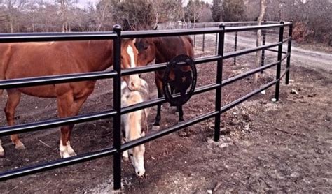 Livestock Fence Installation in Texas by Buzz Custom Fence