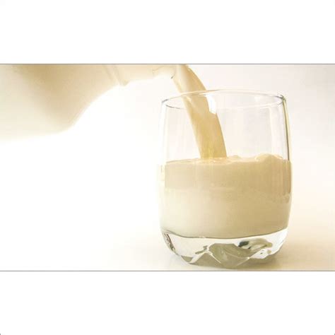 Whey Protein Concentrate Manufacturer, Supplier from Delhi - Best Price