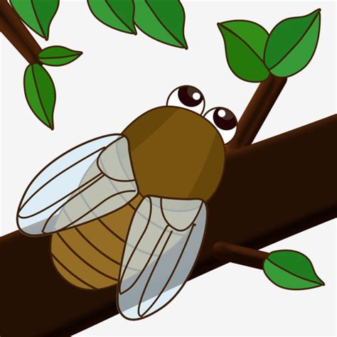 Cicada Know Cartoon Summer, Great Heat, Summer, Summer Vacation PNG Transparent Clipart Image ...