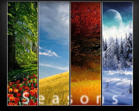 120 best images about 4~Seasons~ on Pinterest | Trees, Spring summer and Four seasons