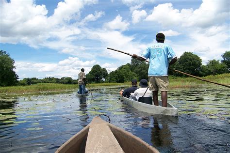 Best time to visit Okavango Delta — Top wildlife safaris in Botswana