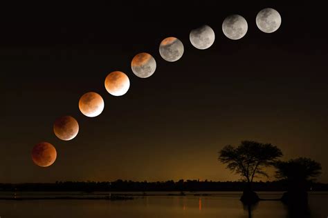 Eclipse penumbral de luna: qué es, cuándo verlo y por qué se llama luna de flores