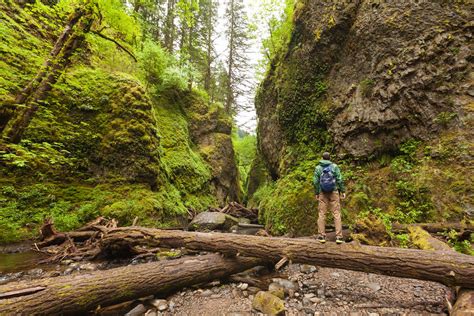 Top Ten Hikes in Oregon | Portland travel, Oregon road trip, Oregon travel