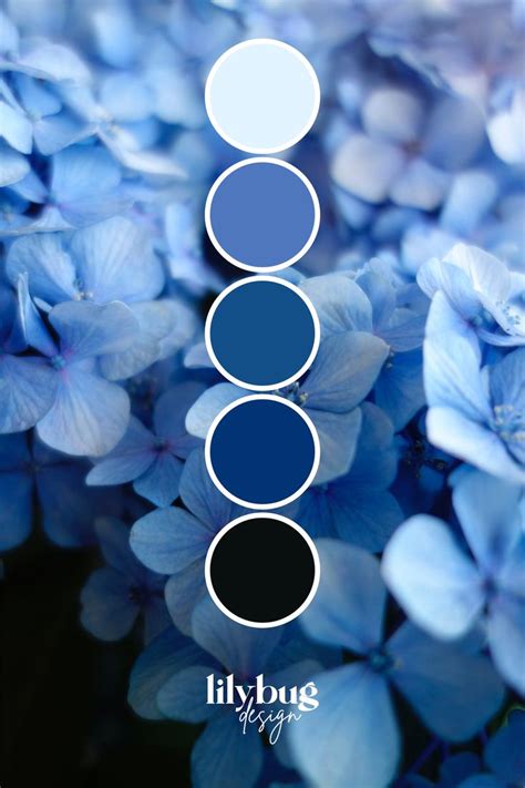 Hydrangea Colour Palette | Nature color palette, Color palette design, Color palette challenge