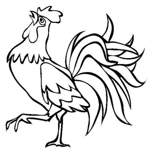 Beautiful Rooster Coloring Page : Coloring Sky