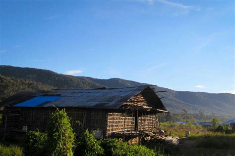 Foto : Rumah Kaki Seribu, Rumah Adat Suku Arfak Papua Barat