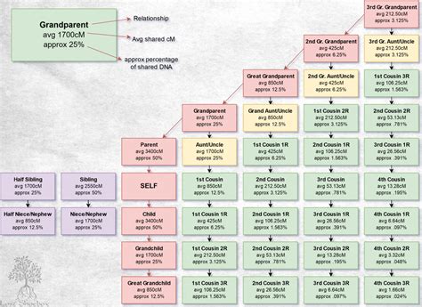 HugeDomains.com | Family genealogy, Genealogy organization, Genealogy help