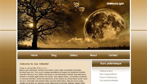 Moon Light Dark Brown CSS Website Template ~ Free CMS