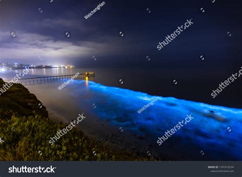 217 Bioluminescent Beaches Images, Stock Photos & Vectors | Shutterstock