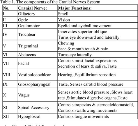 Development of optic nerve and facial nerve models for cranial nerve ...