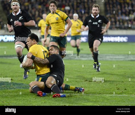 2013 Bledisloe Cup - All Blacks vs. Australia at Westpac Stadium Featuring: Atmosphere Where ...