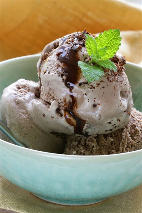 Sugar Free Chocolate Ice Cream Recipe | CDKitchen.com