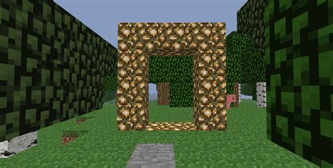 Aether Survival Guide #1 - Making Your House Minecraft Blog