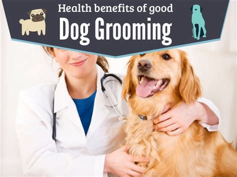 Dog Health and Grooming - Simple Steps for a Healthy Dog - Dog Wagging