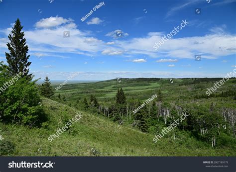 45,425 Cypress hills Images, Stock Photos & Vectors | Shutterstock