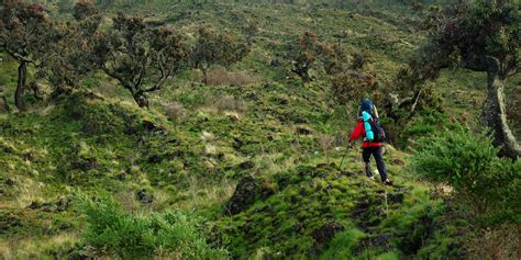 Travel Tip Of The Day: How To Hike Mount Cameroon | AFKTravel
