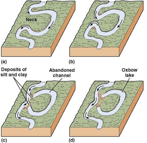 azza: oxbow lake formation